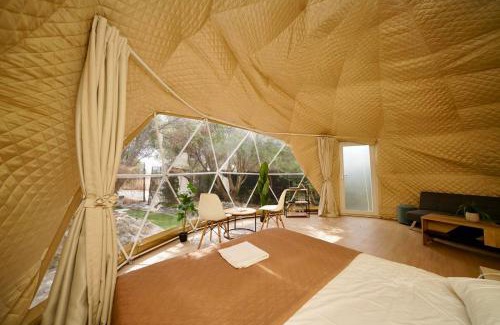 Nea Moudania Other | Olive Domes