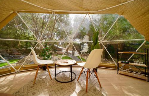 Nea Moudania Other | Olive Domes