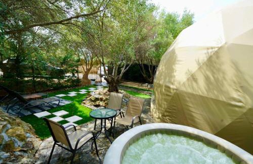 Nea Moudania Other | Olive Domes
