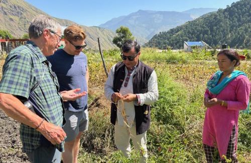 Nepal Hotel | Olive Eco Village Hotel