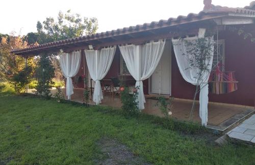 Kiparissia Cabin | Olive garden guest house