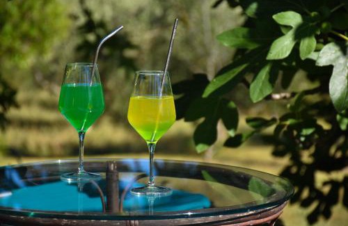Seca Apartment | OLIVE GARDEN & SEA Apartments