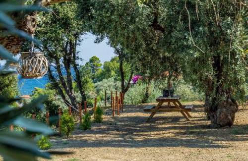 Skopelos Apartment | Olive Grove Apartment
