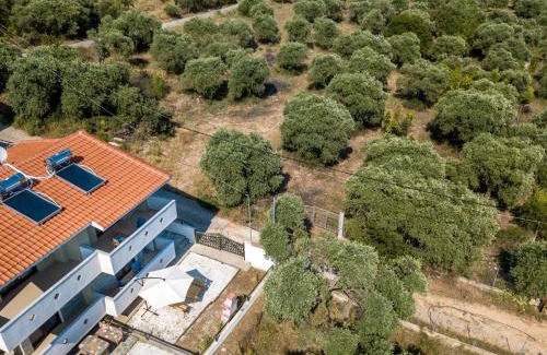 Astris Villa | Olive Maison