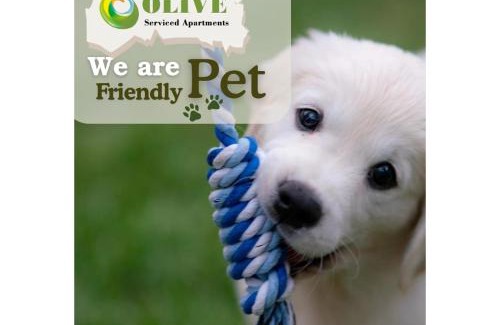 Saket Apartment | Olive Service Apartments Saket