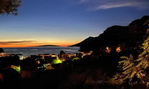 Dubrava Apartment | Olive-Sunset Haven in Zuljana