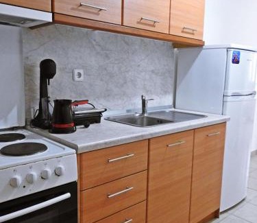 Metagkitsi House | Olive Tree Apartment M