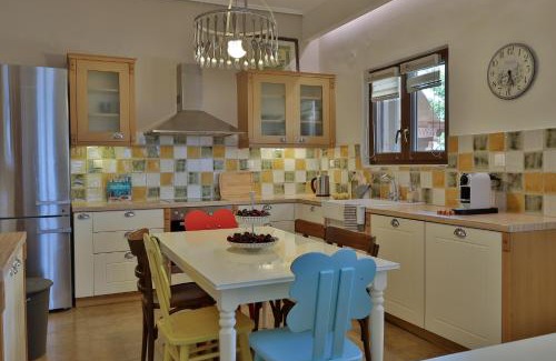 Litochoro Villa | Οlives and Vines all seasons villa