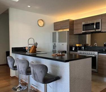 Coyoacan Apartment | Olivo&Laurel HP - Sur