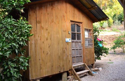 Olympos Resort | Olympos Yakamoz Pansiyon