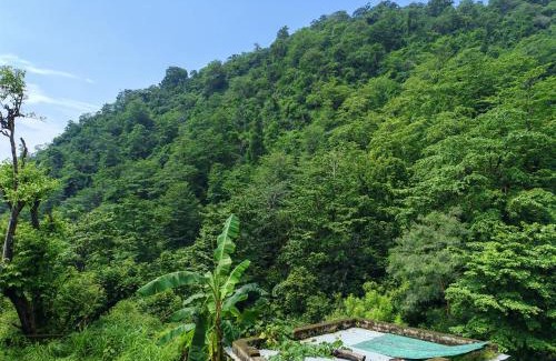 Tapovan House | Om Homestay