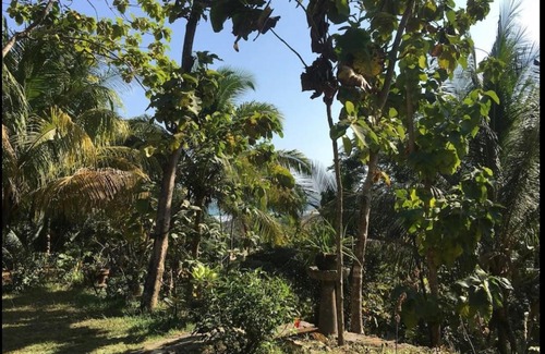 Parangtritis Cabin | Omah Padma Kidul Parangtritis