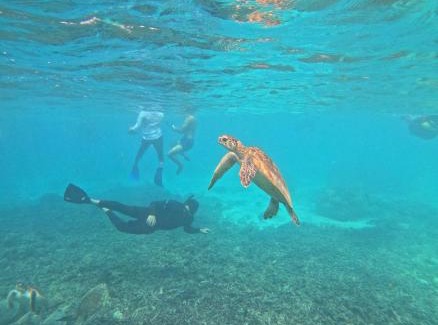 Seeb Boat Rental | Oman daymaniyat island tour
