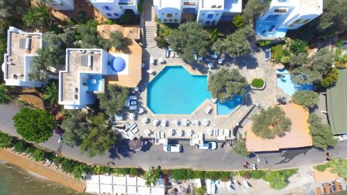 Torba Hotel | Omar Hotel & Suites