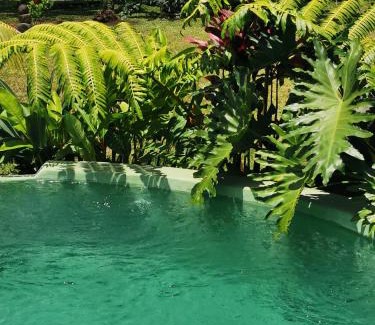 Afaahiti House | Omati Lodge
