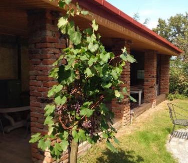 Telavi House | Omsi House