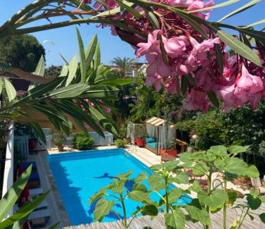 Oludeniz City Center Hotel | On Oda Oludeniz