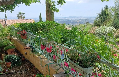 Ollioules House | On the heights of Ollioules Semi-detached house Exceptional view