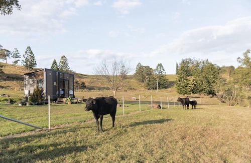 Rock Valley House | On the Rocks by Tiny Away