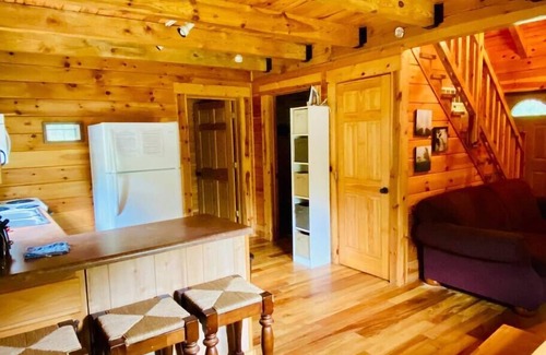 Rogers Cabin | On The Rocks-RRG, hot tub, wifi, private pond!