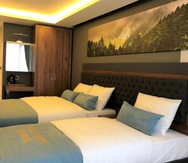 Uzungol House | Onal Motel
