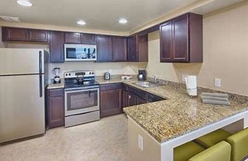 Florida Central Atlantic Coast Apartment | One Bed One Bath Close to Disney with Full Amenities