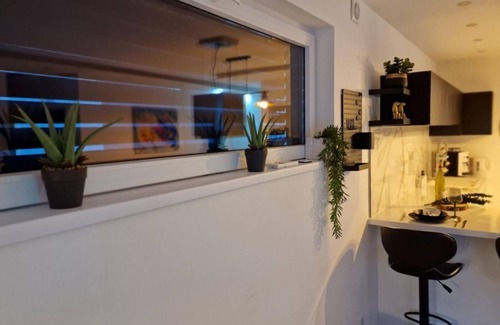 Colmar Apartment | One-Bedroom Apartment