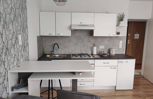 Karlovac Apartment | One bedroom apartment with air-conditioning Karlovac (A-20779-a)