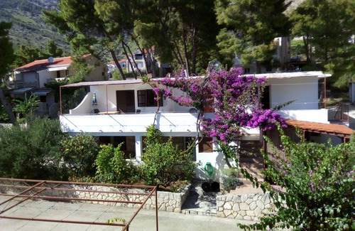 Ivan Dolac Apartment | One bedroom apartment with terrace Ivan Dolac, Hvar (A-18269-c)
