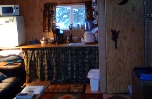 Talkeetna Cabin | One bedroom cabin with inside toilet and stand up loft. PET FRIENDLY!