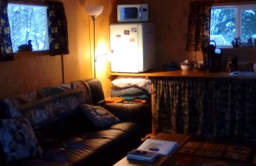 Talkeetna Cabin | One bedroom cabin with inside toilet and stand up loft. PET FRIENDLY!