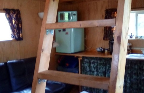 Talkeetna Cabin | One bedroom cabin with inside toilet and stand up loft. PET FRIENDLY!