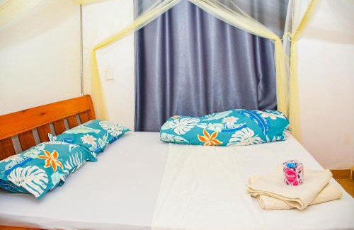 Kasarani Apartment | One Bedroom Furnished in Kasarani-Nairobi