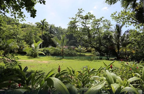 Port Antonio Villa | One Bedroom Garden View Villa, Frenchman's Cove Resort