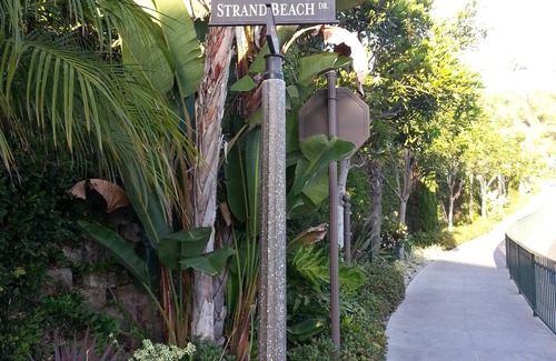 Dana Point Condo | One Bedroom Steps from Beach Condo