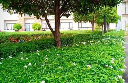 Davao Apartment | ONE OASIS DAVAO a4 FREE POOL 3 MIN WALK SM MALL