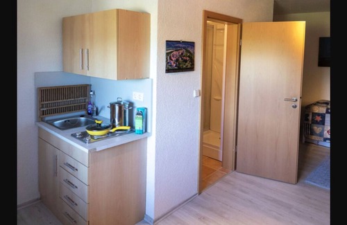 Siedelsbrunn Apartment | One-room apartment with mini-kitchen and balcony
