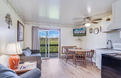Chincoteague Condo | Only 5 min to Assateague National Seashore!
