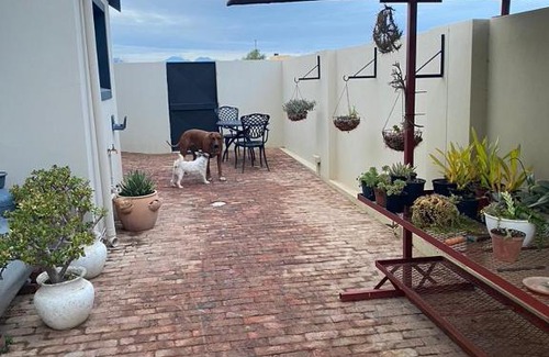 Oudtshoorn House | Oolyfie