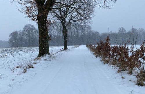 Vijlen Bed & Breakfast | Op d'r Vieleberg