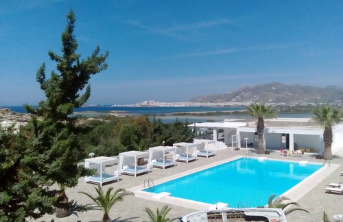 Agios Prokopios Apartment | Open-plan suite with garden view and private plunge pool; breakfast included