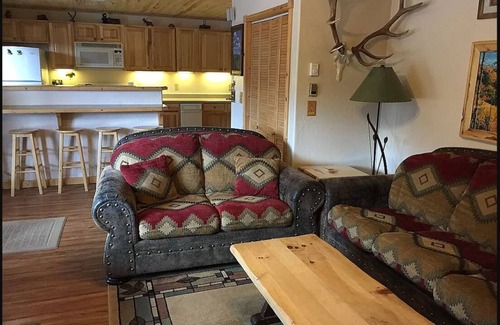 Lake City Condo | OPEN YEAR ROUND ON THE ALPINE LOOP - Lake San Cristobal - Nellie Gray #25