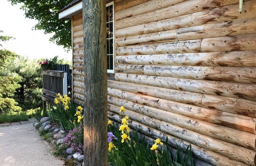 Rapid City Ski Chalet | OpenJuly 13-19 Amazing views from our Hot Tub Relax,Pet,Rent Pontoon walk trails