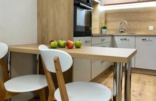 Olsztyn Apartment | Opera Park 23 by RENT4YOU
