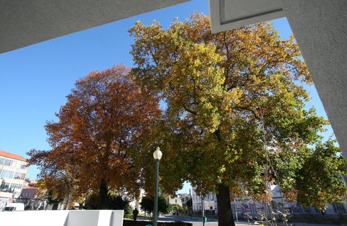 Cedofeita Apartment | OPO-APT 114-0 Pateo apartment in city center. A peacefull private garden!