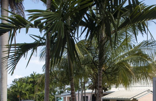 Nassau Hotel | Orange Hill Beach Inn