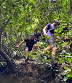 Bohorok Villa | Orangutan Treks Villa & Eco-friendly Jungle Trekking Activities