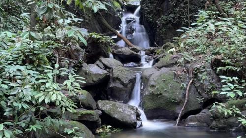 Bohorok Villa | Orangutan Treks Villa & Eco-friendly Jungle Trekking Activities