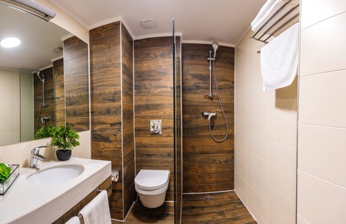Bakuriani Hotel | Orbi Palace Hotel Official