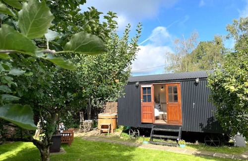 Chilworth Cabin | Orchard Hut - Surrey Hills